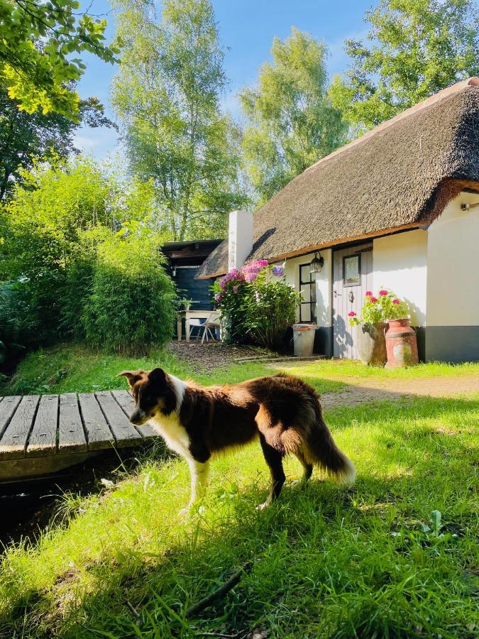 Bakhuisje Op De Veluwe Heerde Exterior foto